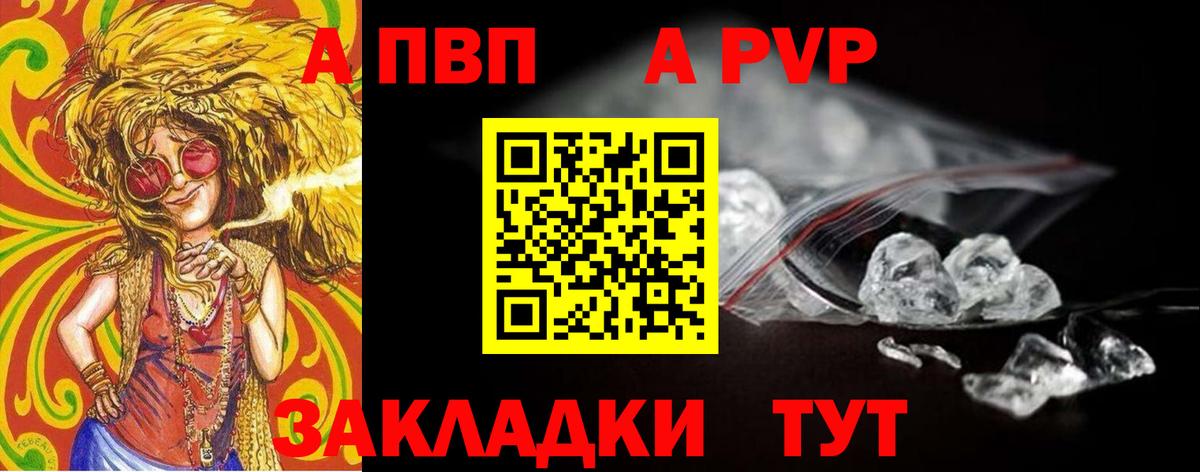 Альфа ПВП СК Заволжье