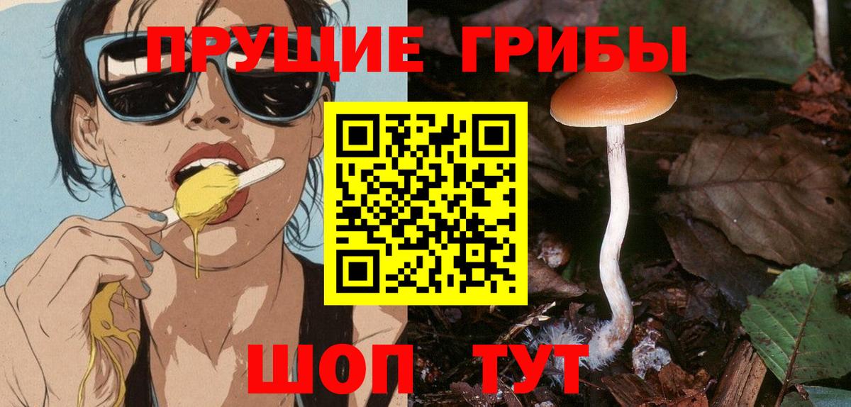 Галлюциногенные грибы GOLDEN TEACHER  Вход с VPN  Заволжье 