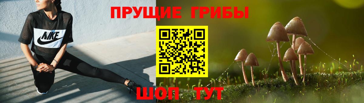 Галлюциногенные грибы Psilocybine cubensis Заволжье